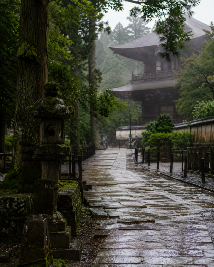 雨の日の奈良観光をイメージした濡れた石畳と寺院の風景